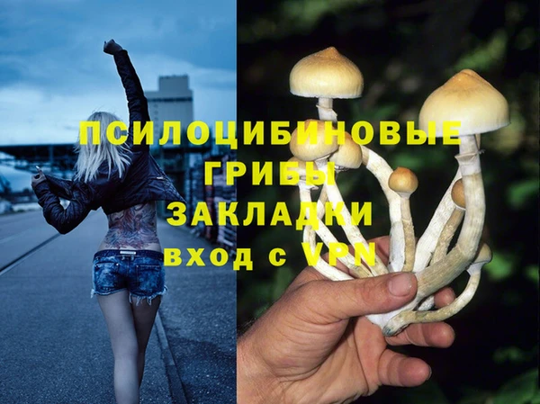 PSILOCYBIN Волоколамск