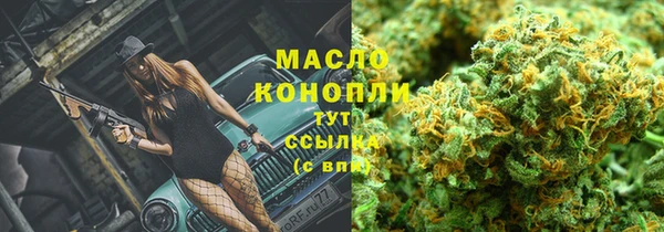 стаф Володарск